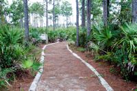 Nature Trail