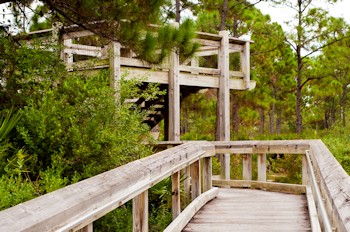 Greenway bridge made out of recycled material